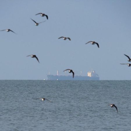 Petit nid à 50m de la plage au coeur de Fouras Extérieur photo